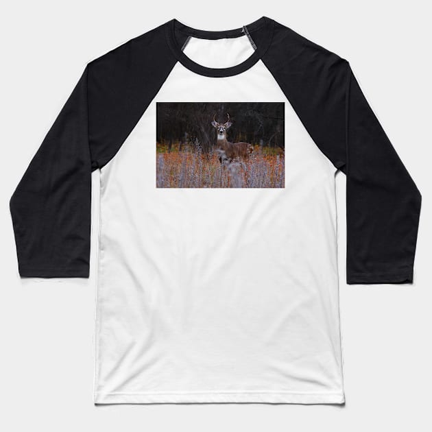 A regal stance - White-tailed Deer Baseball T-Shirt by Jim Cumming